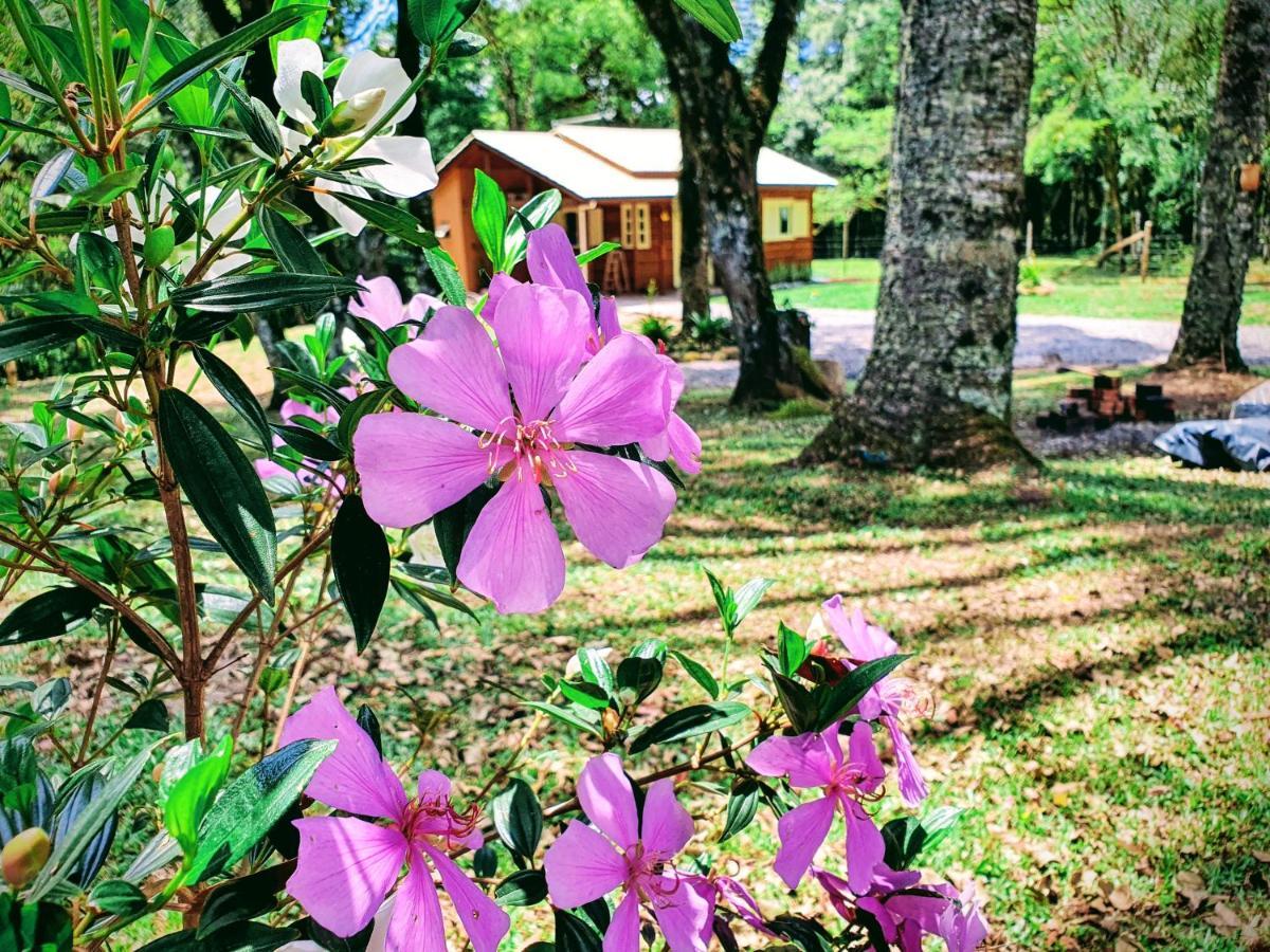 Sitio Recanto Feliz Gramado Exterior photo